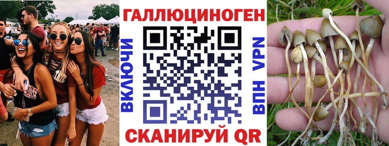 Псилоцибиновые грибы прущие грибы  Хвалынск 